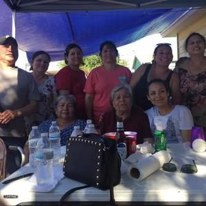 Meet your Posher, Minerva